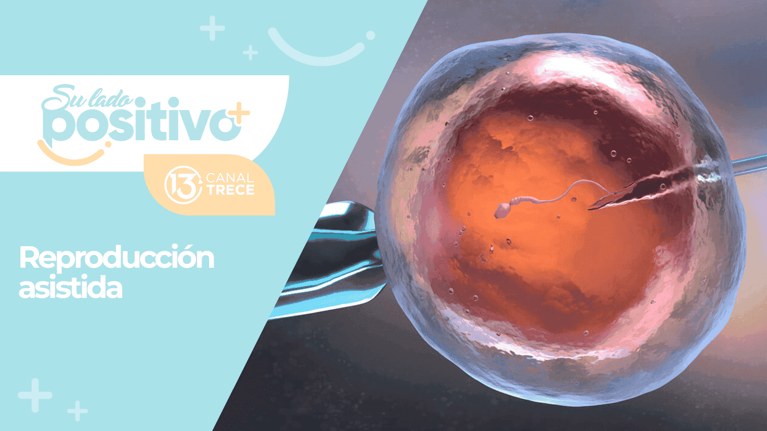 Asesoramiento en reproducción asistida