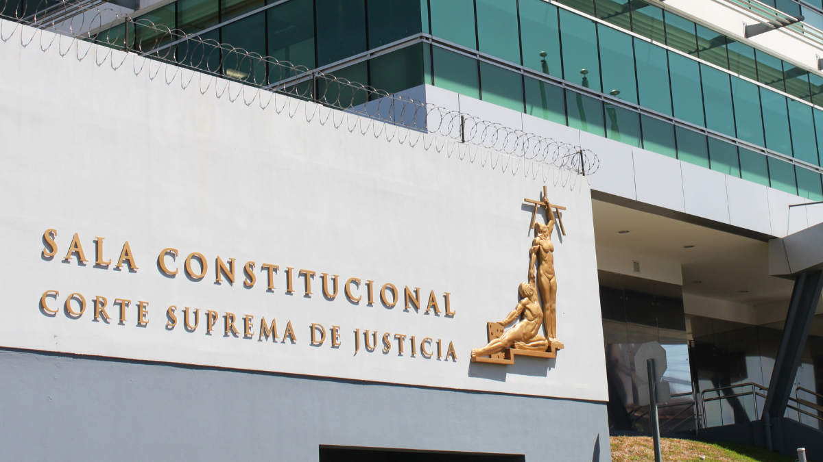 La Sala Constitucional declara inconstitucionales cuatro artículos de la Ley Jaguar