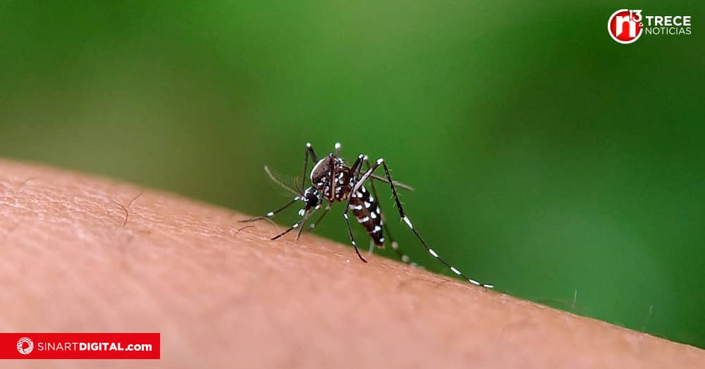 Casos de dengue siguen aumentado en el país 