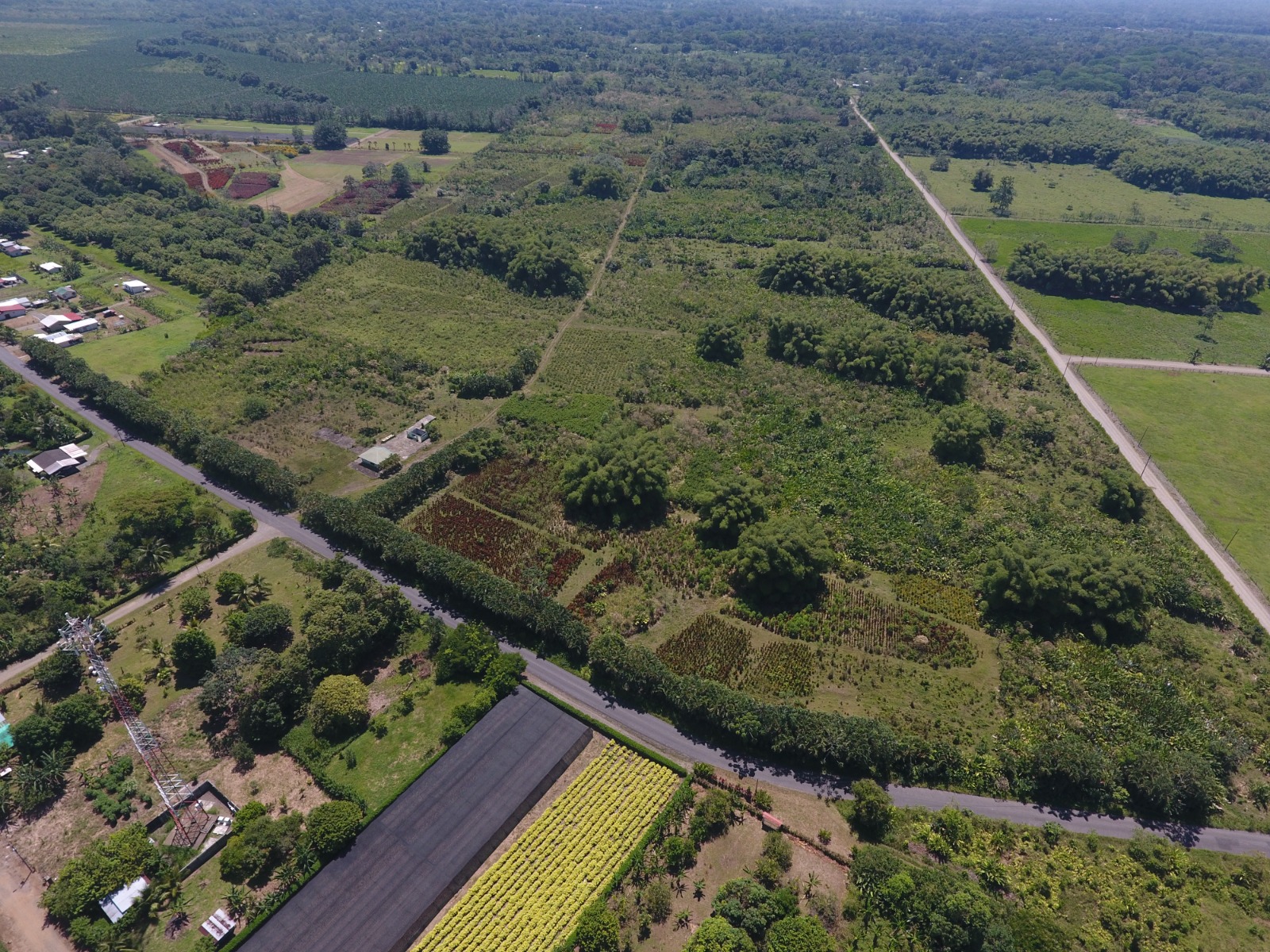 Inder compró terreno clave para el desarrollo del proyecto de Tren de Carga a Zona Norte y el Caribe