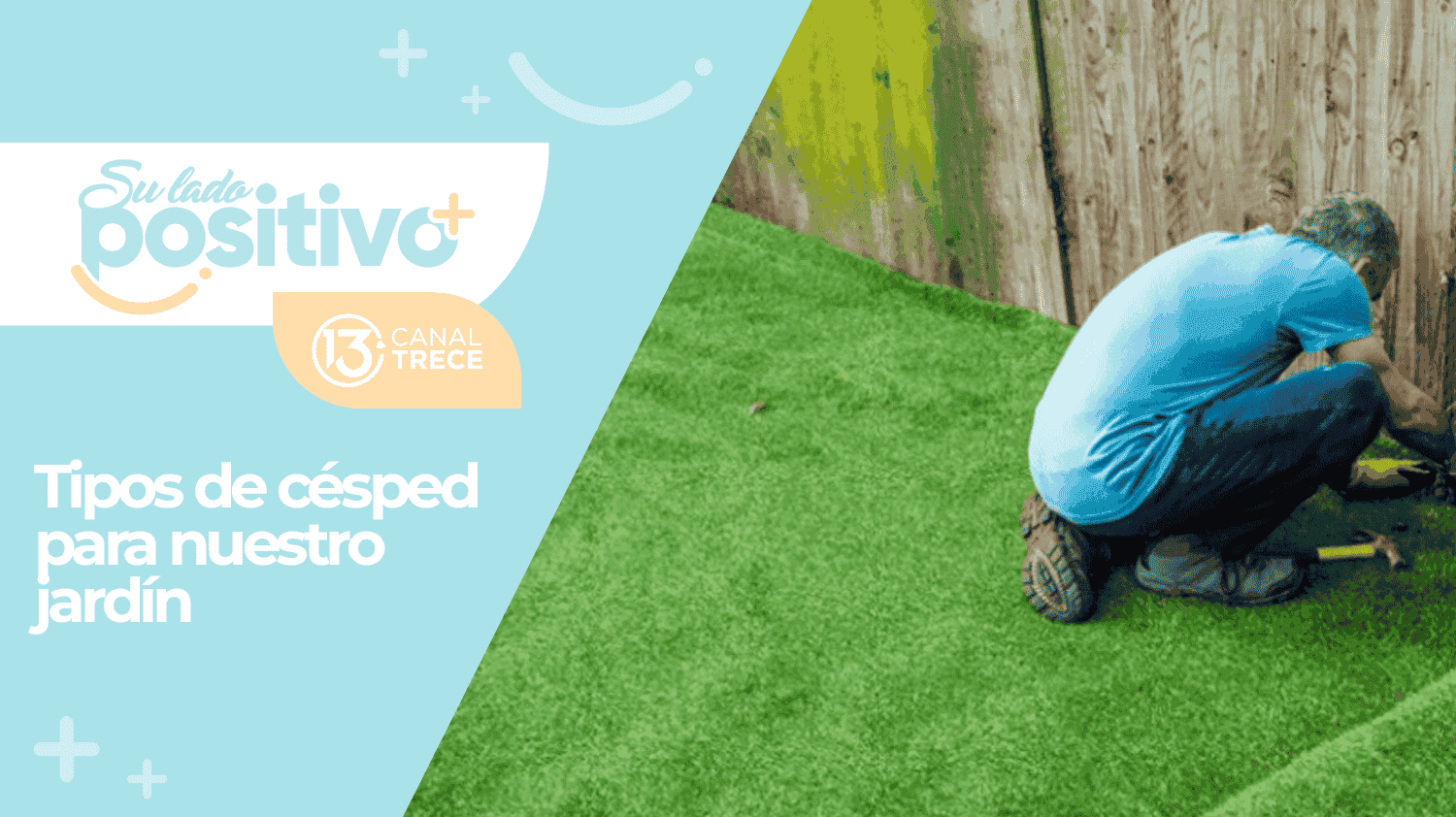 Tipo de césped recomendado para su hogar