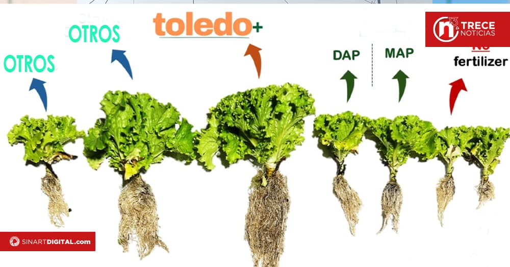 Fertilizante tico queda seleccionado para  realizar investigación en EEUU