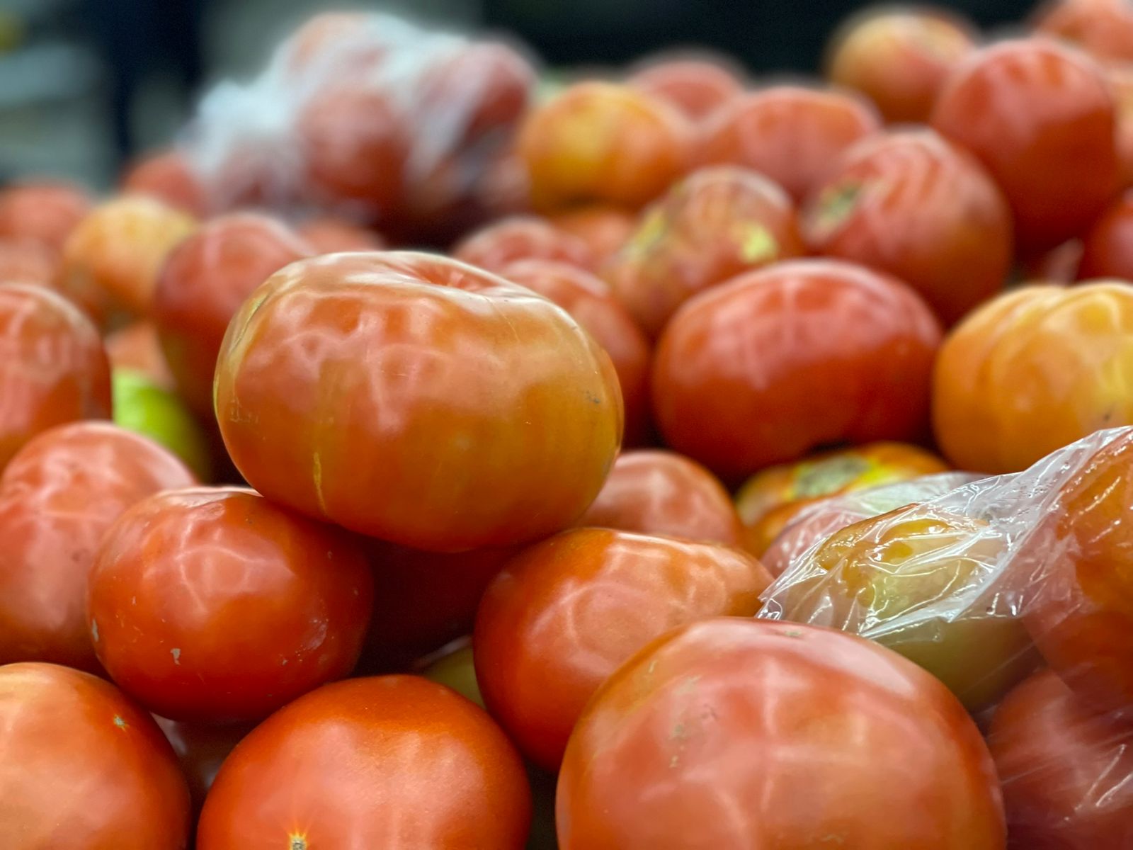 Tomate bajó ₡545 colones esta semana 