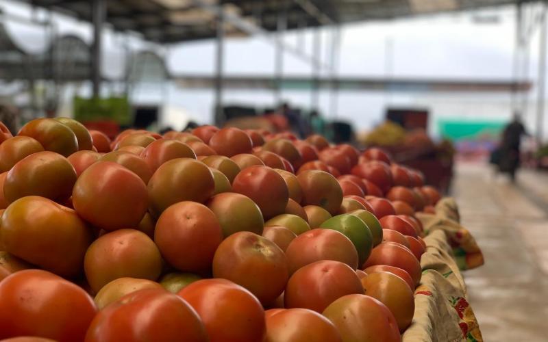 Tomate sube ₡203 colones y papa baja ₡149 esta semana 