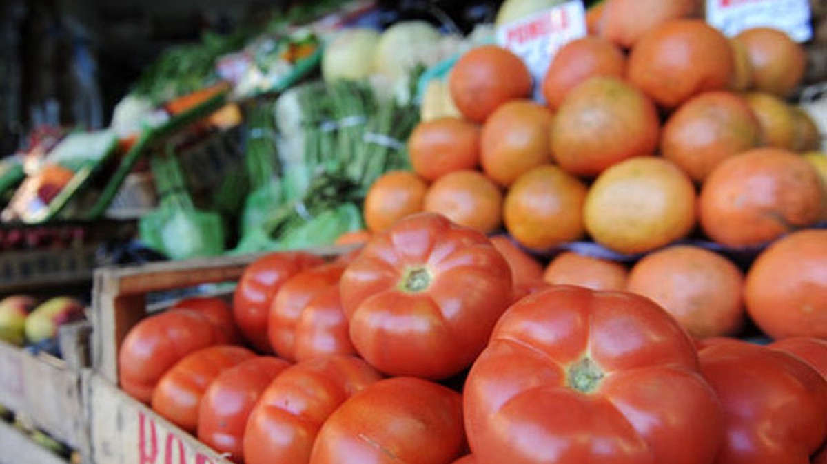 Feria del Agricultor: Tomate sube ₡243 esta semana 