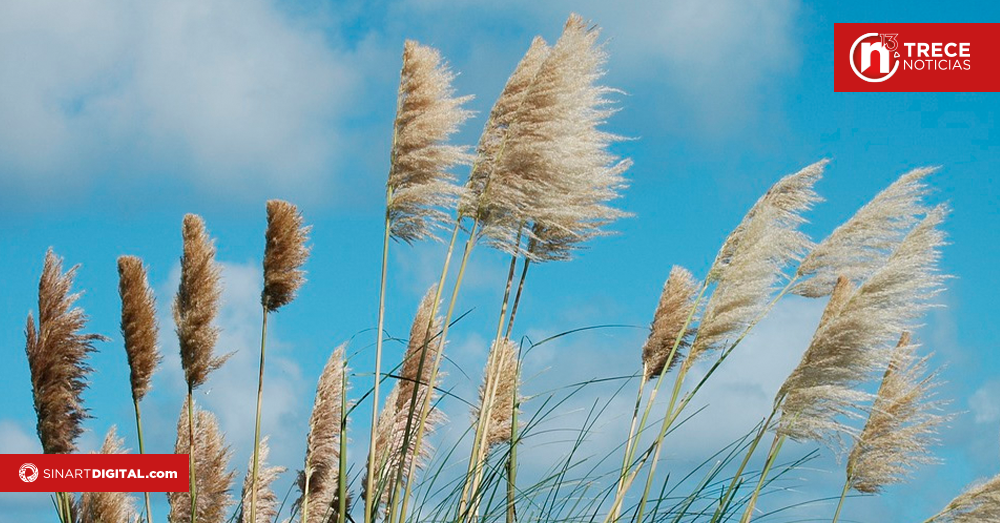 Fuertes vientos mermarían un poco durante esta noche