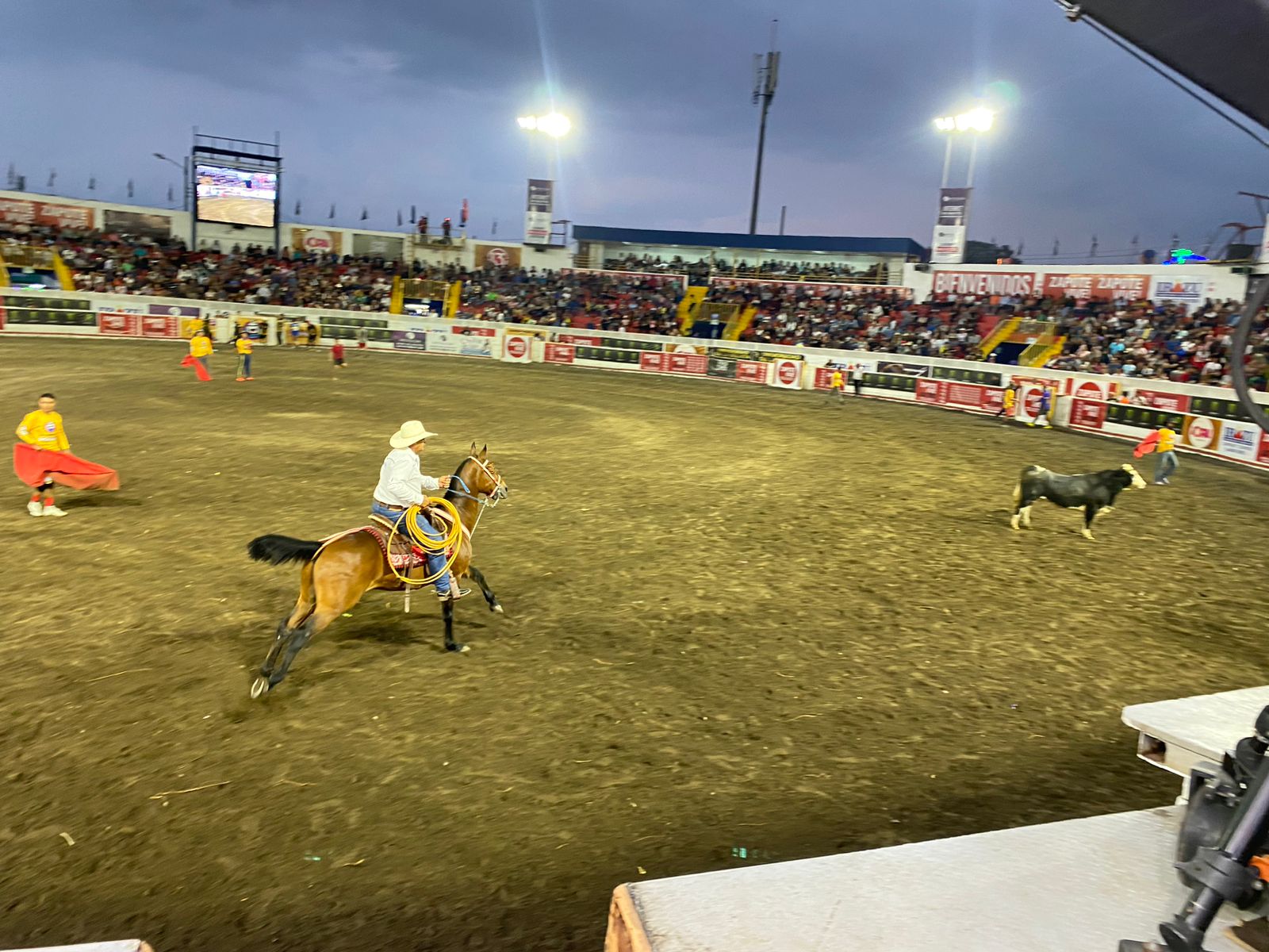 ¡No se lo pierda! Entradas para ir a ver los toros de Zapote siguen en promoción este fin de semana